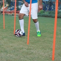 AGILITY STICK