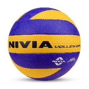VOLLEY DAY